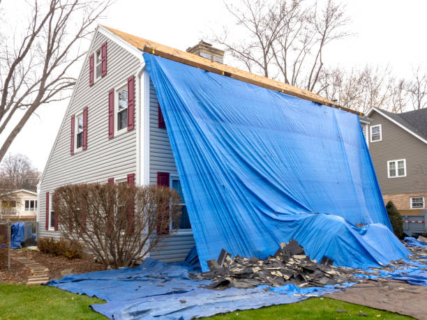 Best Shed Removal  in Clay City, IN